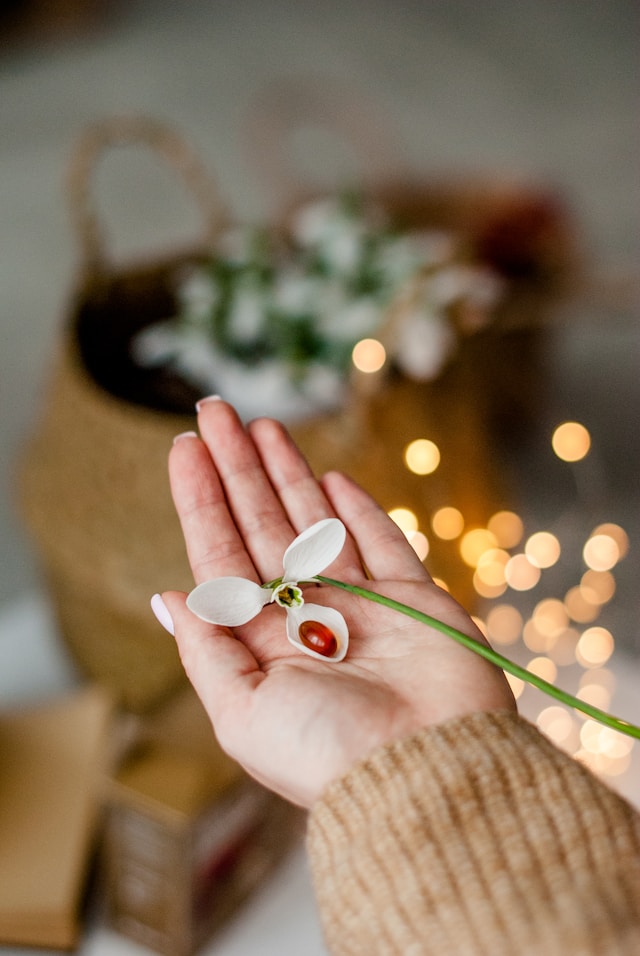 Bild-Startseite-Darmgesundheit-Nahrungsergänzungsmittel-in-Hand-Blumen-Lichter