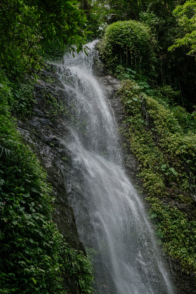 Wasserfall-bild-gesundheit-coaching-reizdarm-grün